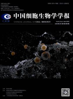 细胞生物学期刊